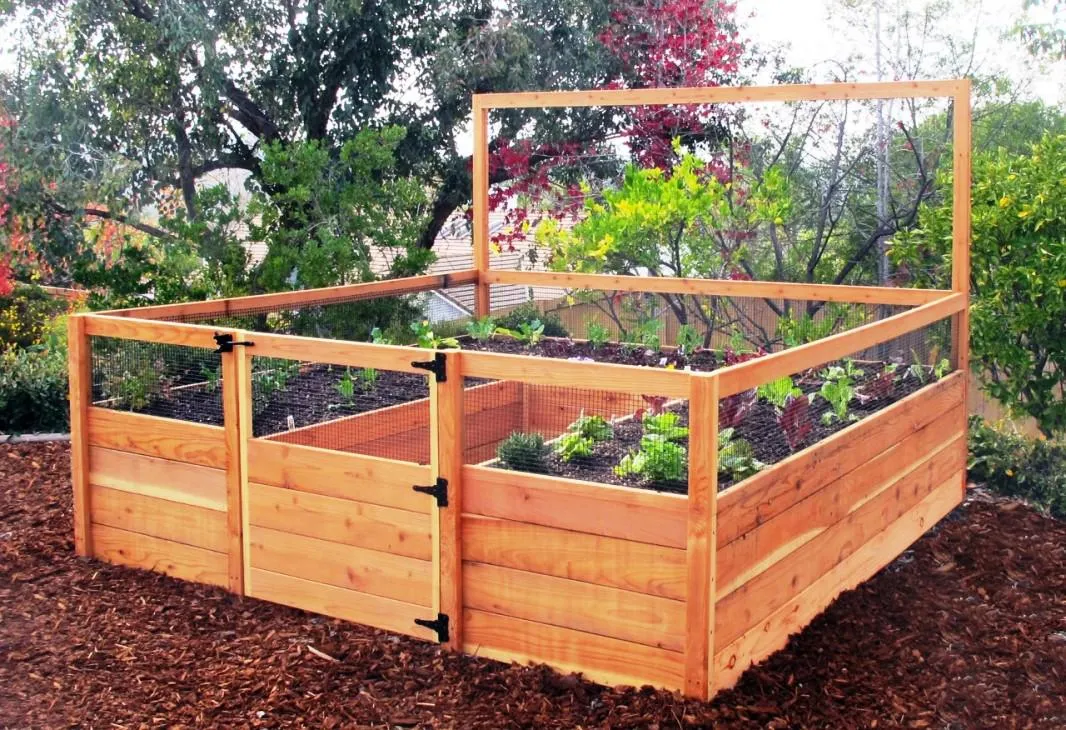 design for raised bed garden