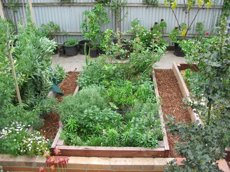 how to raised garden bed design