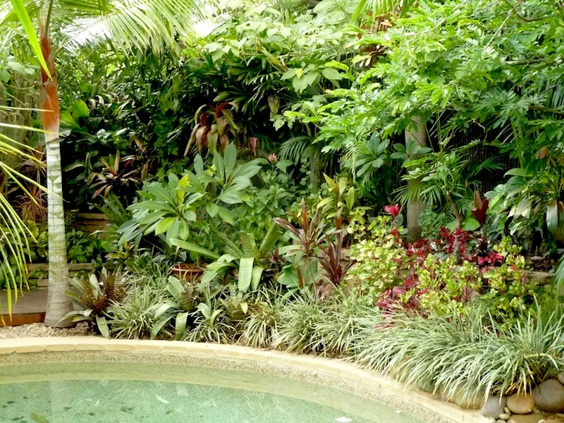 planting ideas tropical garden