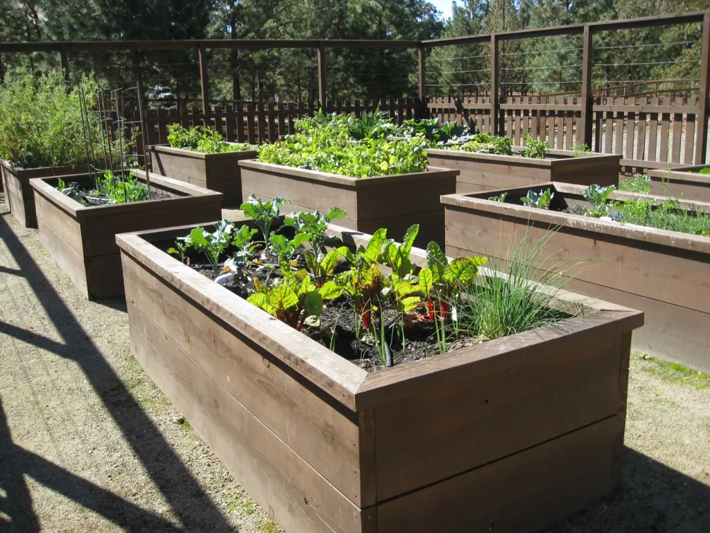 raised bed garden design images