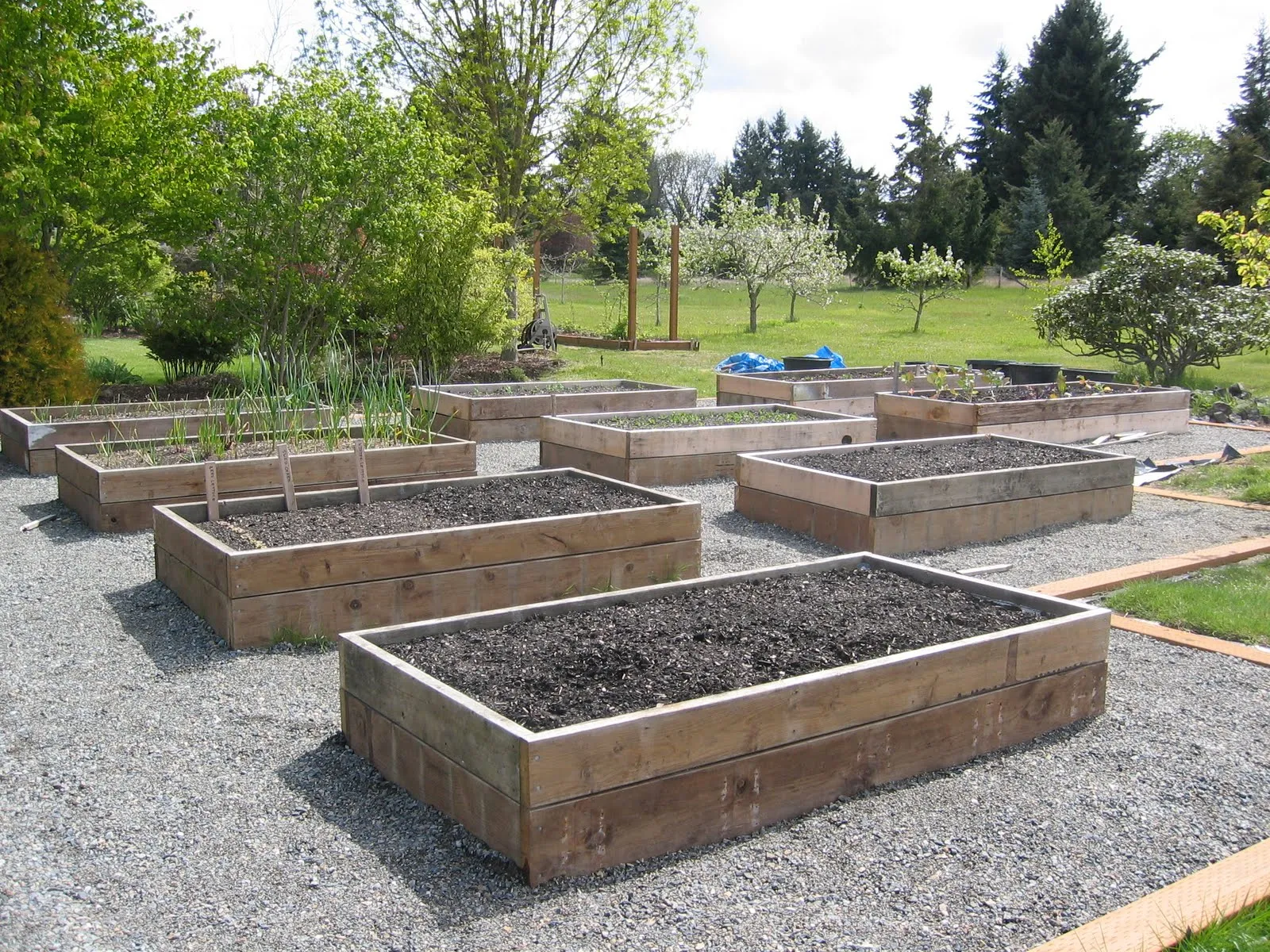 raised bed garden design photos