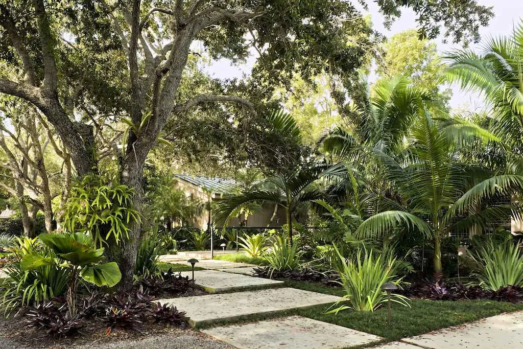 tropical garden landscaping ideas